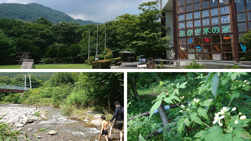 赤城ふれあいの森（赤城森林公園）