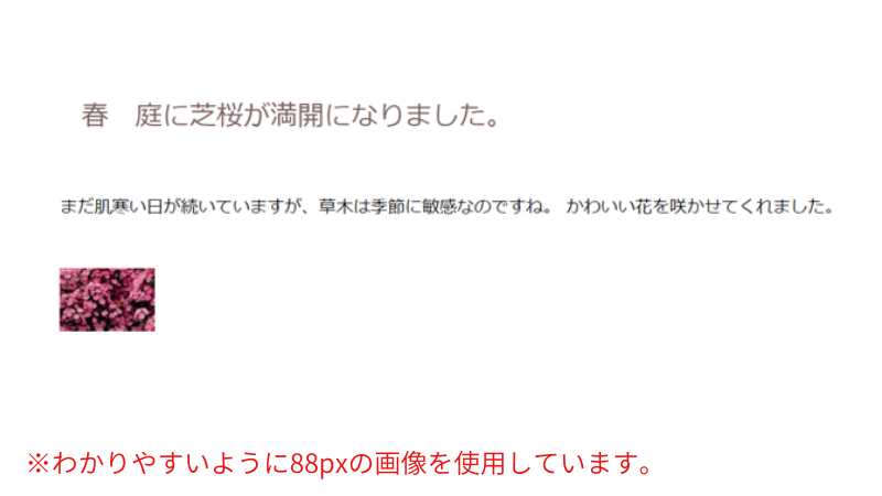 原寸サイズの幅が親要素の幅よりも小さい場合の表示