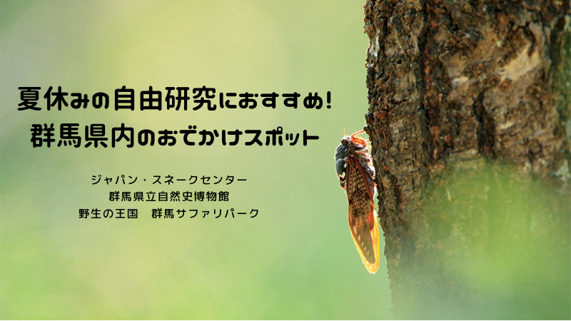 夏休みの自由研究におすすめ！群馬県内のおでかけスポット